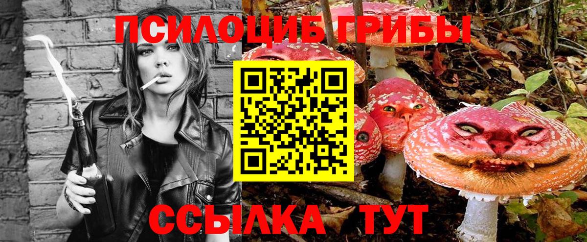 продажа наркотиков  Вход с VPN  Псилоцибиновые грибы Magic Shrooms  Новокубанск  Псилоцибиновые грибы Psilocybe 